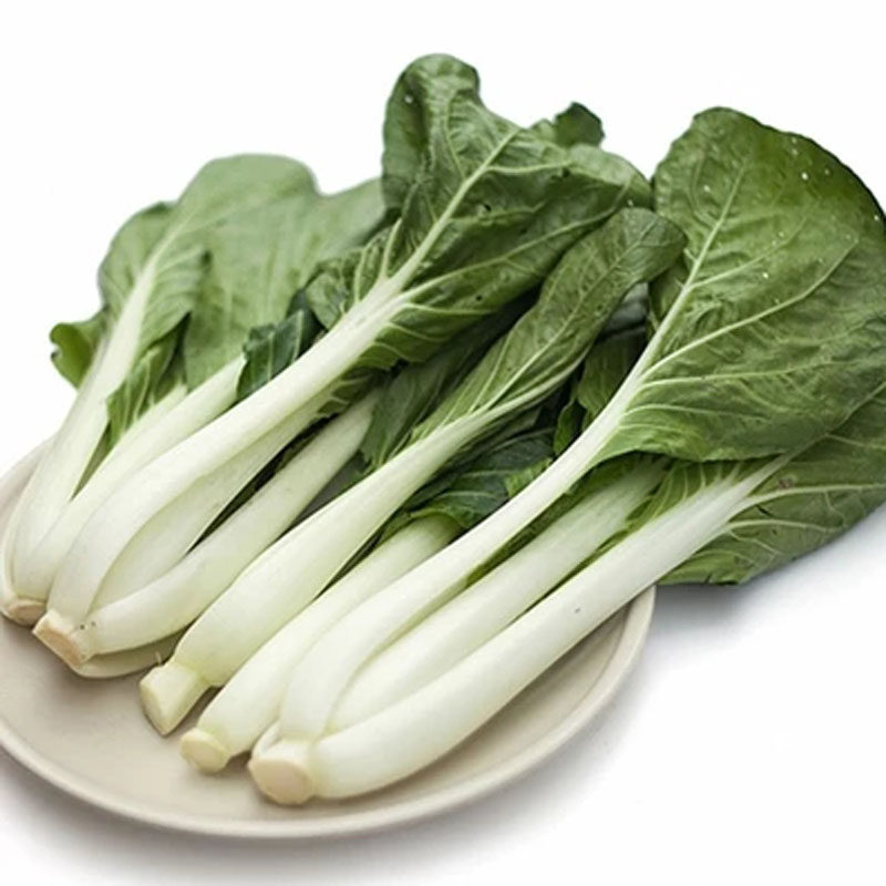 青菜高梗白种子高梗青高杆小白菜腌制酸菜种籽大田家庭园艺种子