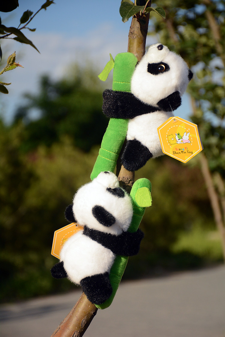正版toyclub可爱抱竹熊猫公仔毛绒玩具窗帘熊熊啪啪毛绒布艺类玩具