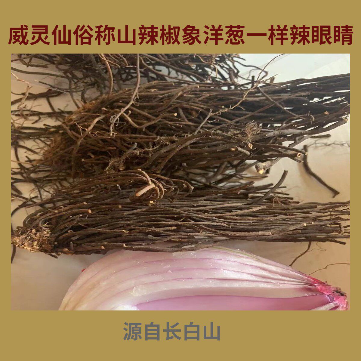 威灵10年老根东北北新挖山辣椒仙粉非家种草威灵仙