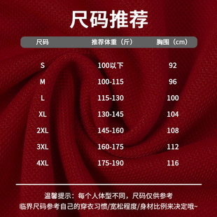 雅鹿男士短袖t恤翻领休闲宽松2024夏季新款纯色冰丝透气POLO衫男T