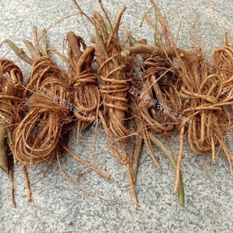 刀豆根干根刀角根干刀豆角根刀板豆根干刀巴豆1份新鲜豆类