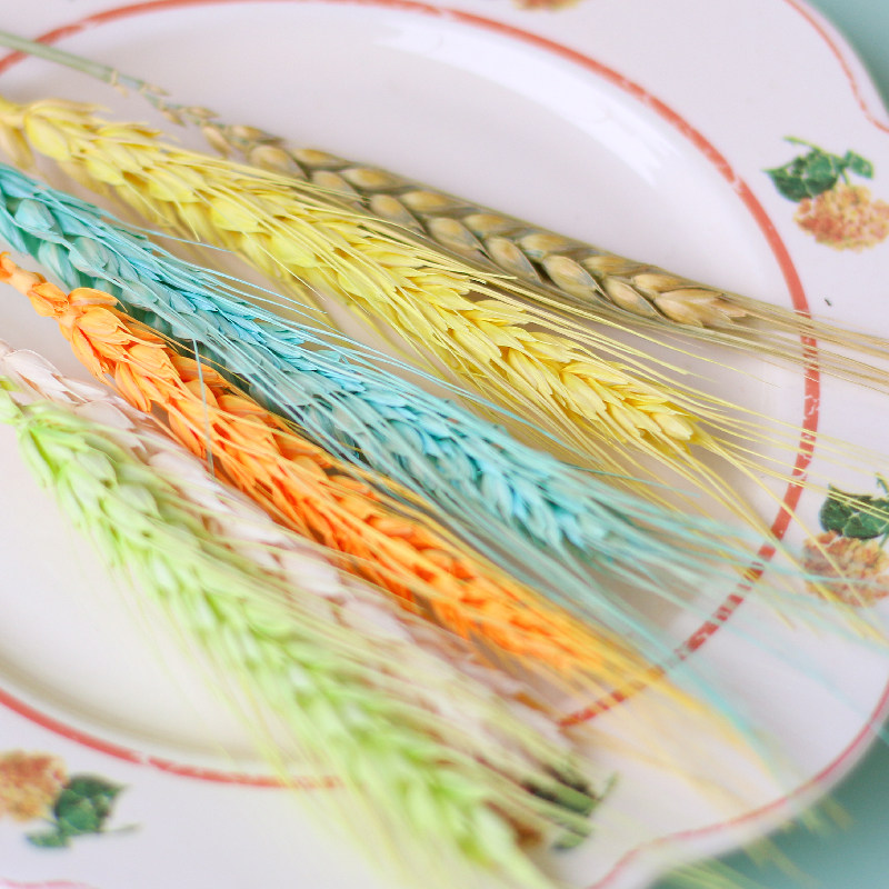 一烛永生花天然植物干花染色麦穗多色小麦麦子干花