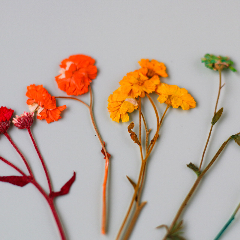 压花一烛天然植物永生花花材装饰贴花蜡烛相框干花