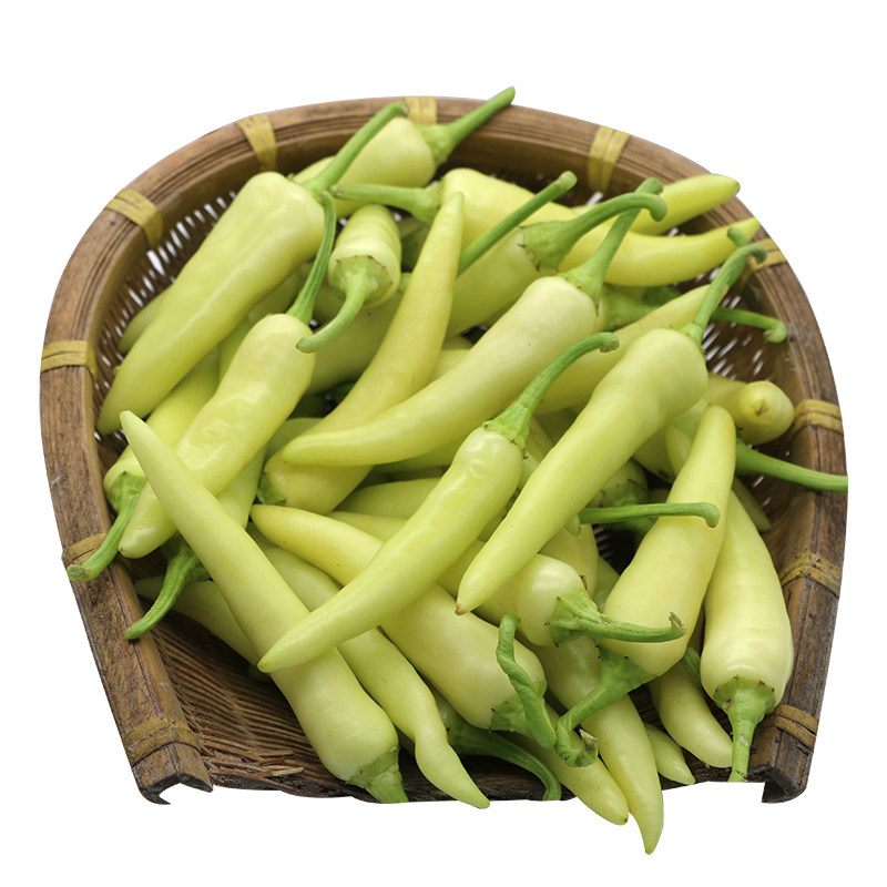 广西农家白椒新鲜尖椒现摘辣椒白皮椒腌蔬菜其它