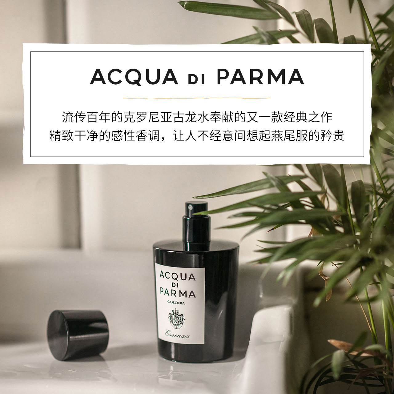 [暖春战疫]帕尔玛之水克罗尼亚黑调古龙水 20/50ml 中性 优雅