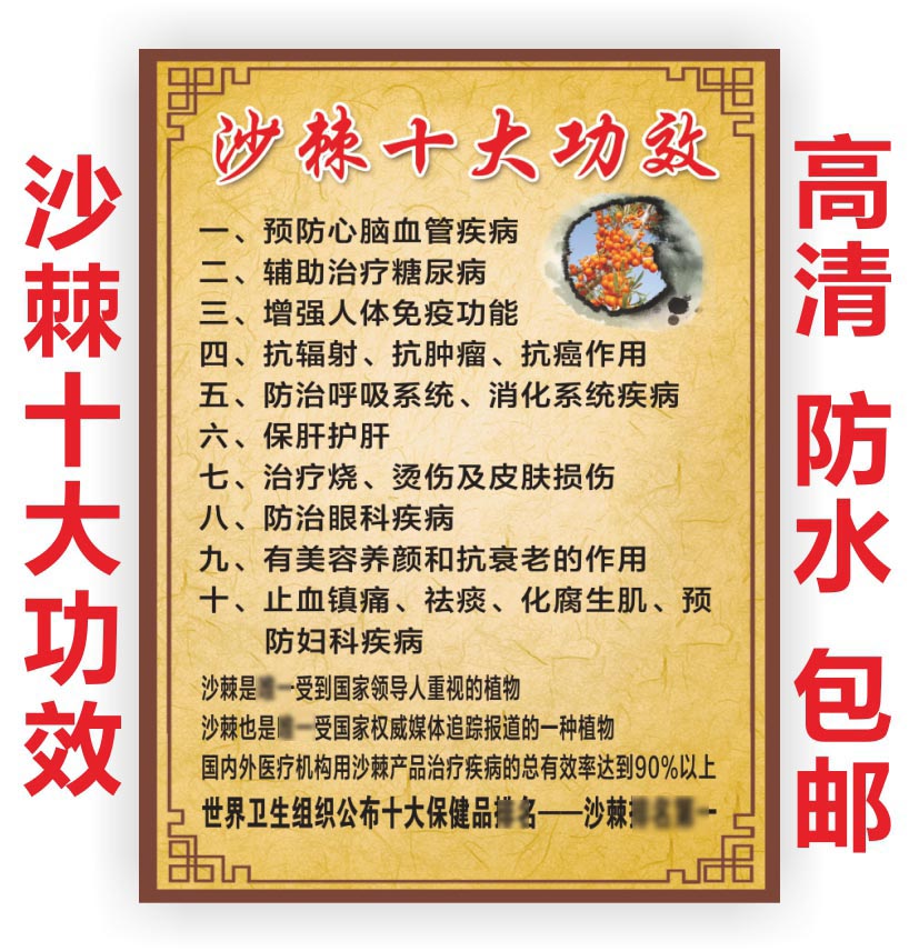 沙棘排毒中医养生疗法讲解海报贴纸禁忌人群注意事项写真