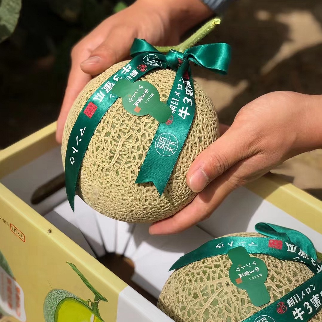 日本现货本品种牛三玫珑瓜24只原箱网纹甜瓜哈密瓜