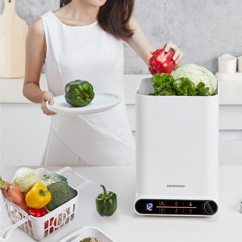 韩国大宇果蔬清洗机家用洗菜机全自动肉类水果食材果蔬消毒清洗机