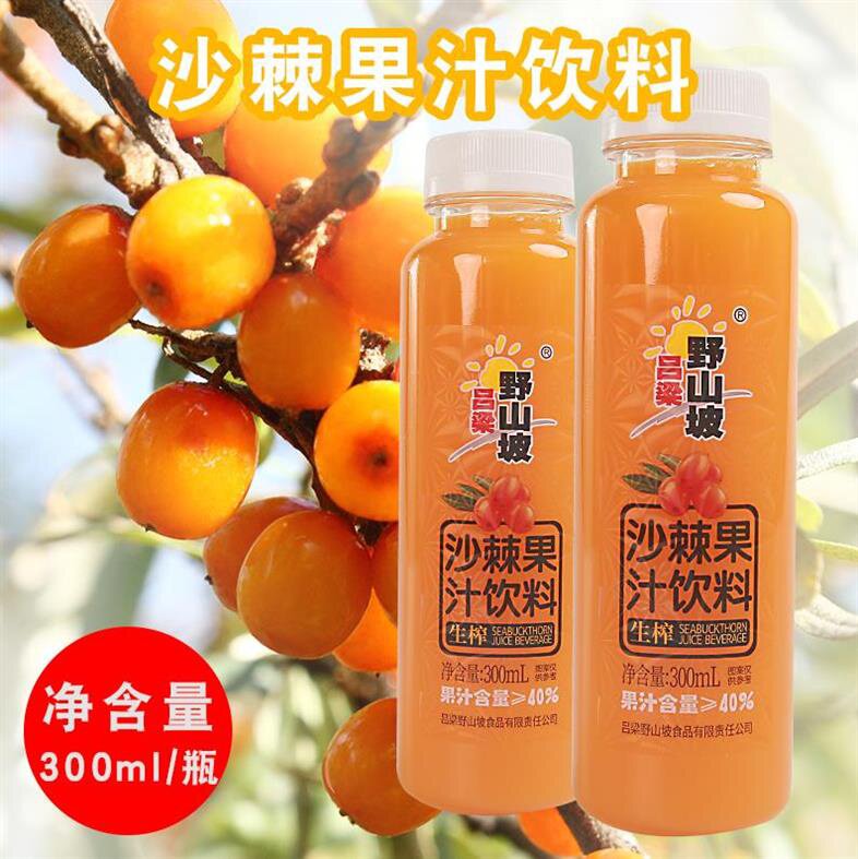 沙棘吕梁野山山坡12瓶8瓶山西特产饮料生榨果味
