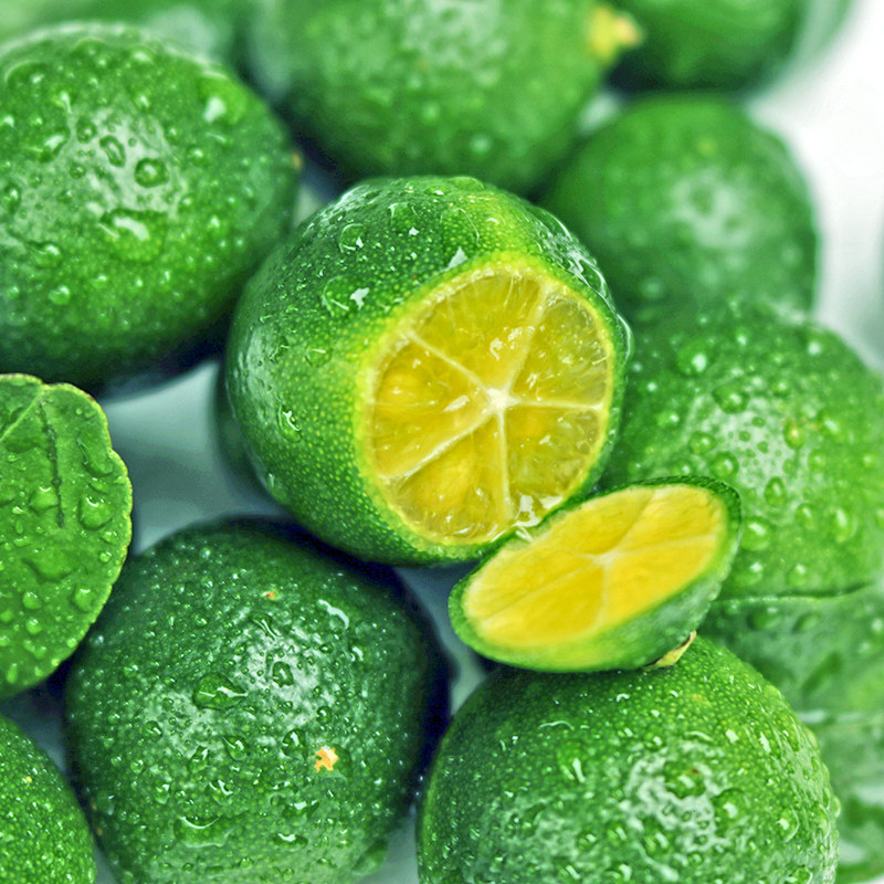 稳定签到新鲜海南小金桔100g