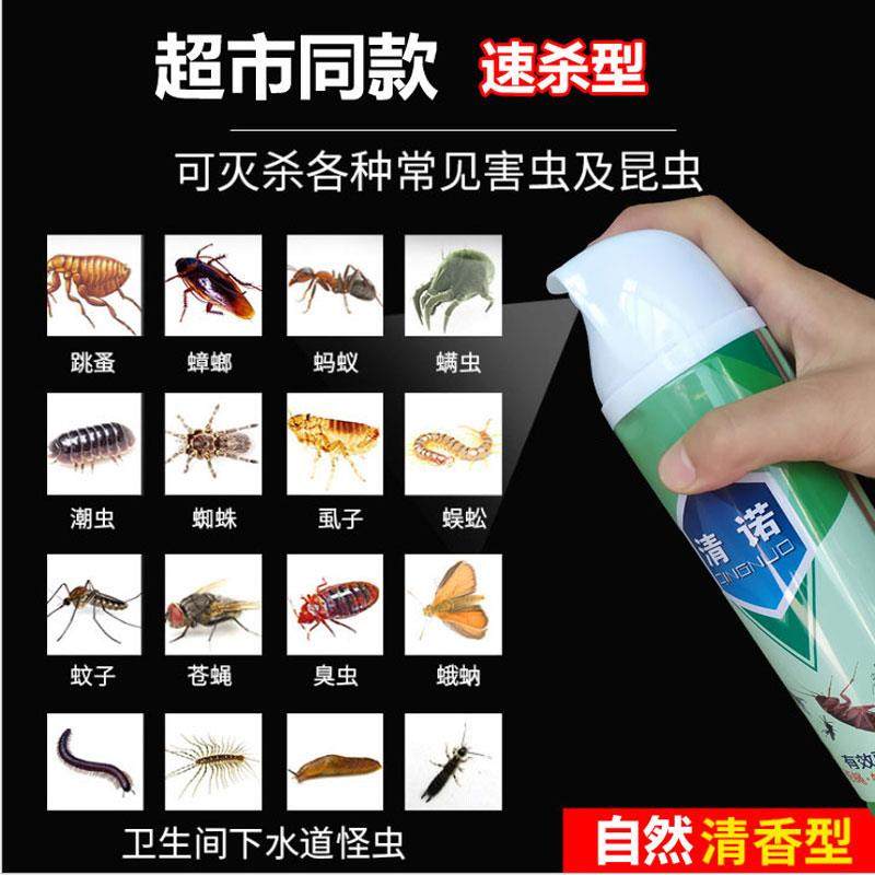 硬壳爬虫虫子潮虫去治虫药多脚厨房壳虫喷剂杀虫剂卫生农药
