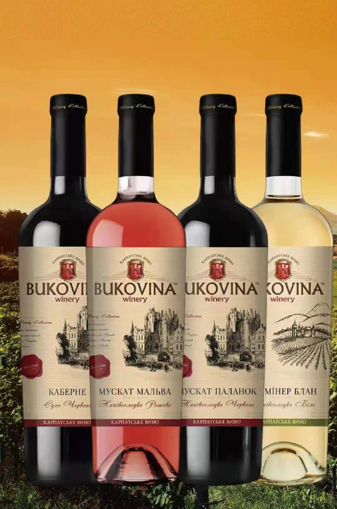俄罗斯进口乌克兰布卡维纳葡萄酒红酒赤霞干红bukovina干红静态葡萄酒