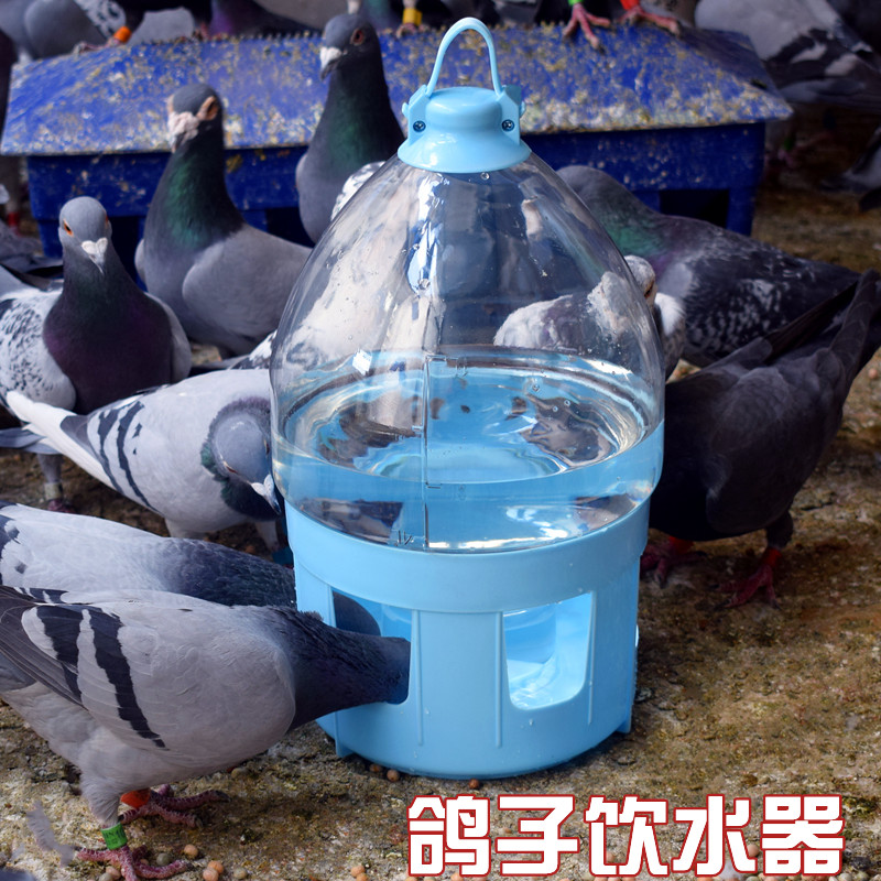 自制大容量鸽子饮水器图片