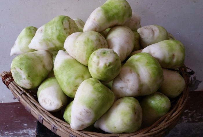 新鲜大头菜四川特产宜宾辣菜丝咸儿菜芥菜疙瘩蔬菜娃娃菜5斤包邮