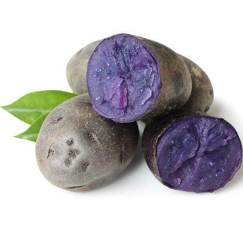 西北特产新鲜黑土豆种小土豆马铃薯黑金刚洋芋黑美人土豆