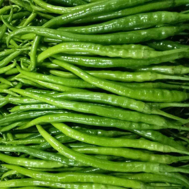 辣椒新鲜线椒青椒整箱农家自种应季当家蔬菜辣椒