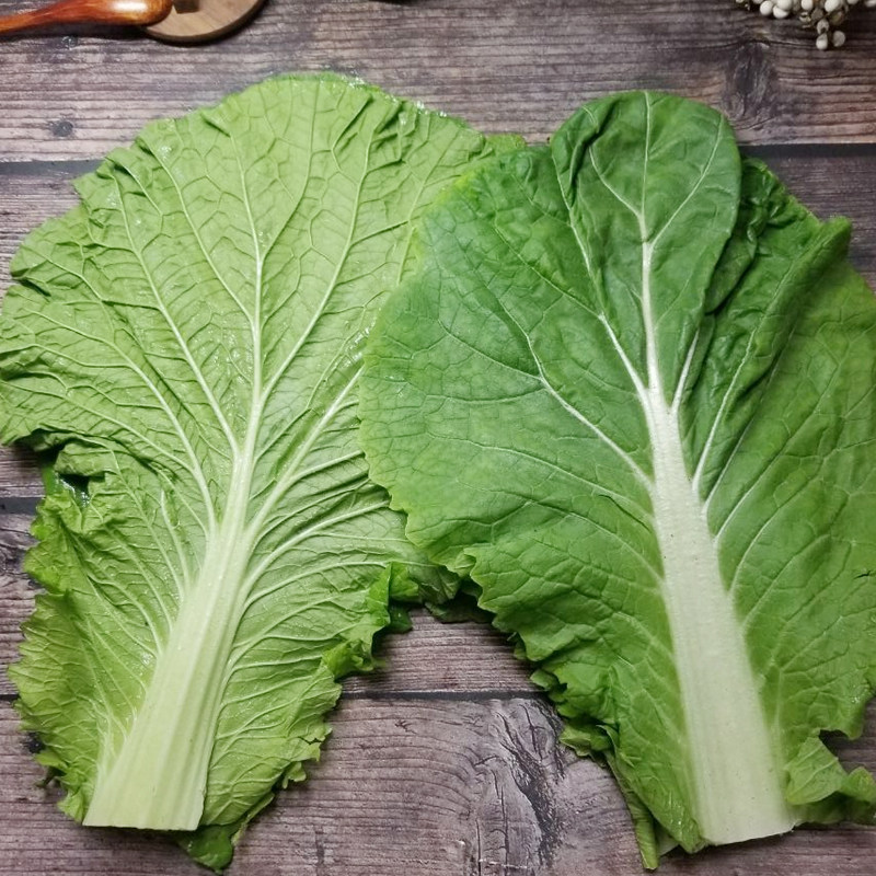 东北北大饭包菜叶现摘大白菜叶子包邮当应季即食叶菜类