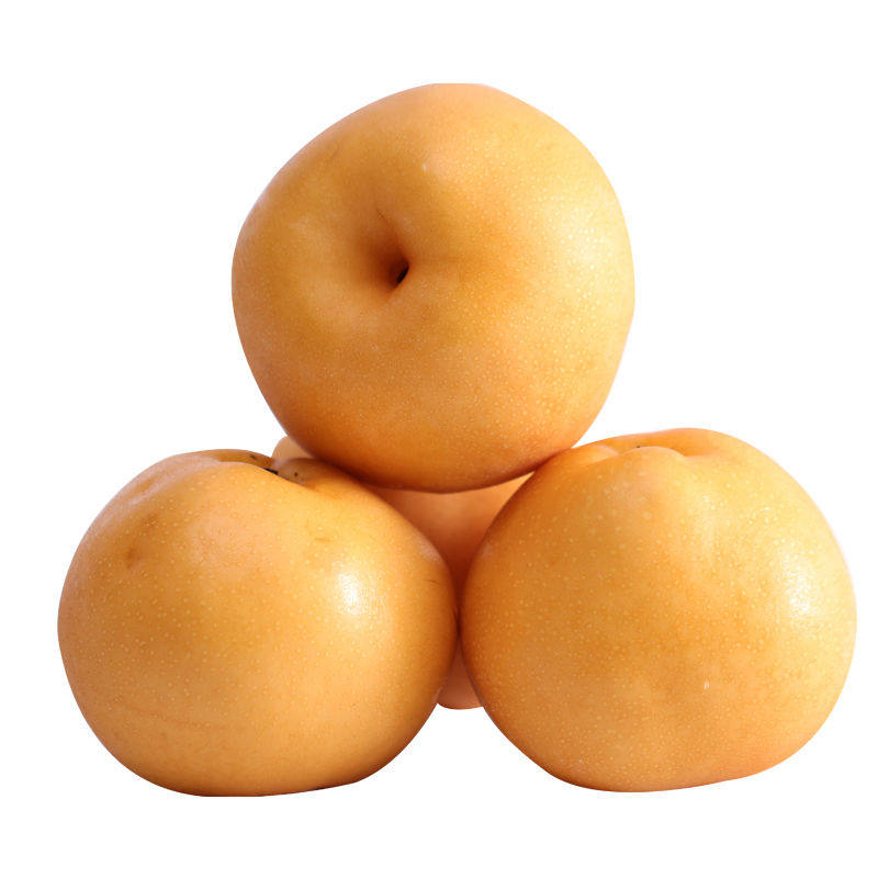 丰水梨甜5斤新鲜孕妇水果嫩甜多汁梨子黄皮梨