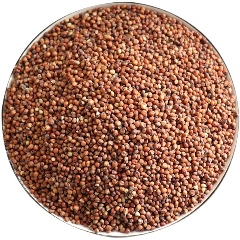 高粱红高粱去壳带皮新高粱酿酒酿醋鸽子10斤饲料其它粮食