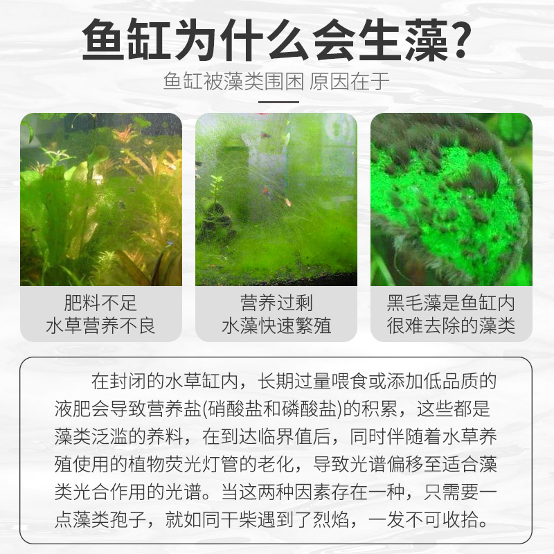 鱼缸青苔和绿藻区别图图片