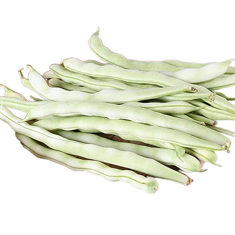 新鲜农家少扁架老来九粒蔬菜应季山东白芸豆包邮当新鲜豆类