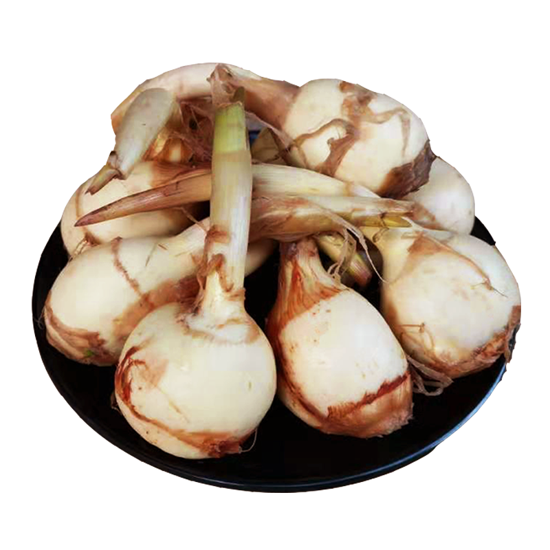 荸荠云南鲜茨菇包生茨粉糯8斤新鲜马蹄白马蹄其它