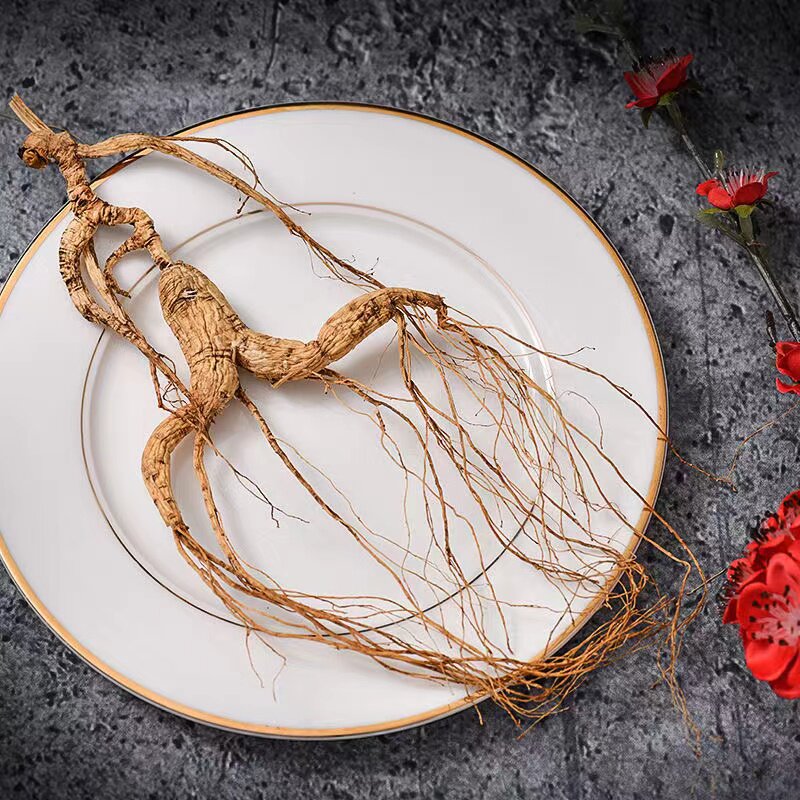 人参一阁一本长白山野山一等东北东北人礼盒泡酒山参