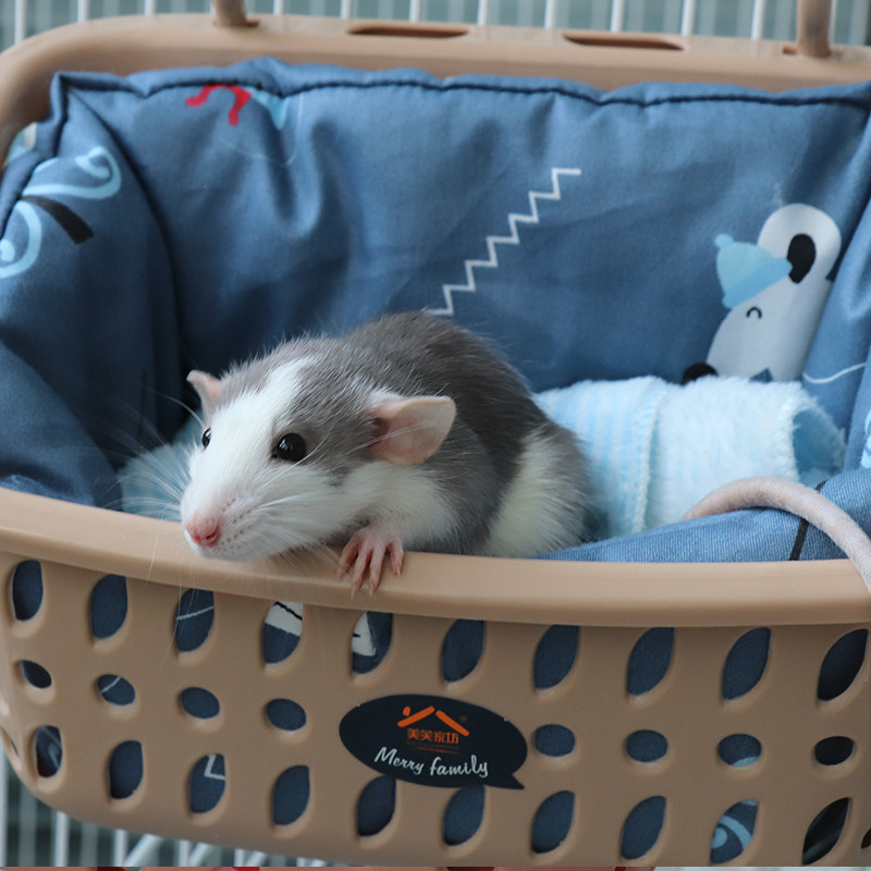 花枝鼠窝大号吊床防咬夏天悬挂睡台平台睡窝玩具