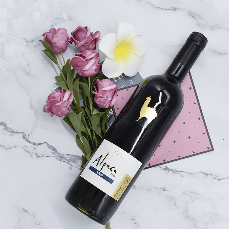 葡萄酒智利红酒美乐原瓶进口女士干红6支装750ml干红静态葡萄酒