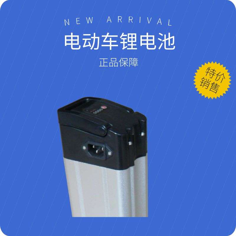 电动自行车锂电池48v大容量超长续航里程适合多个电动车电池
