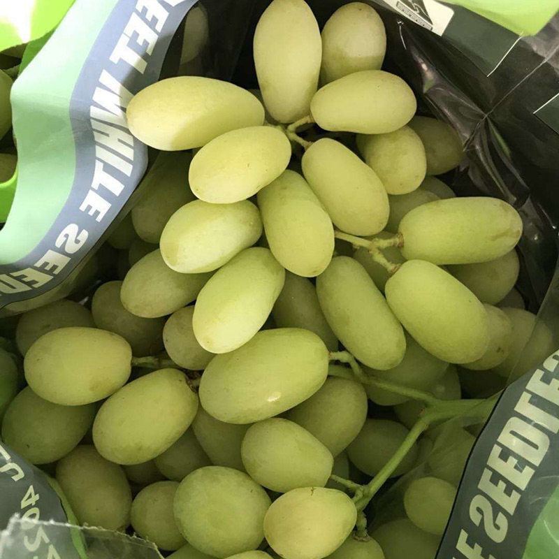 美国无籽青提2斤新鲜进口葡萄提子甜蜜多汁当季孕妇水果顺丰包邮