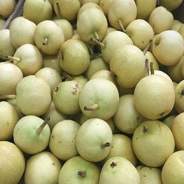 香水东北特产水果小香软儿南国梨更多汁5斤梨