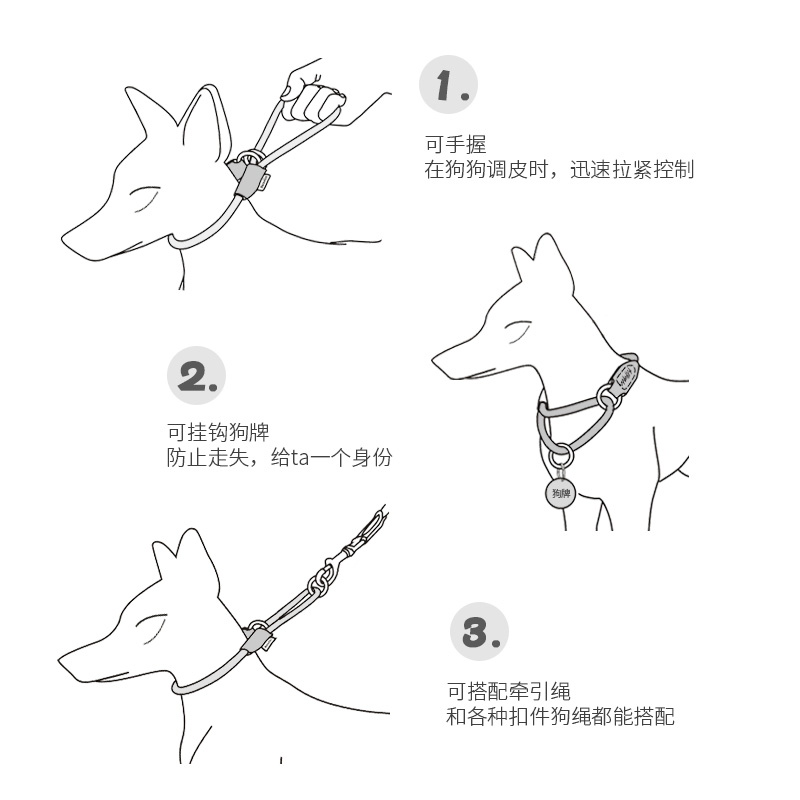 beaugo贝宝捷多功能半p链项圈防拽人b链子小型犬训练训狗脖子套