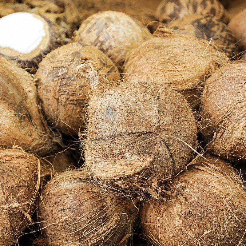 海南水椰子新鲜水果当季采摘现发带皮椰青宝1个装3斤一个送开椰器