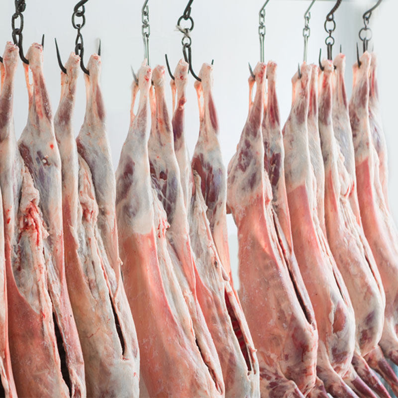 整只滩羊32斤宁夏羊肉新鲜盐池羊排羊腿羊蝎子滩羊肉新鲜生羊肉-mc