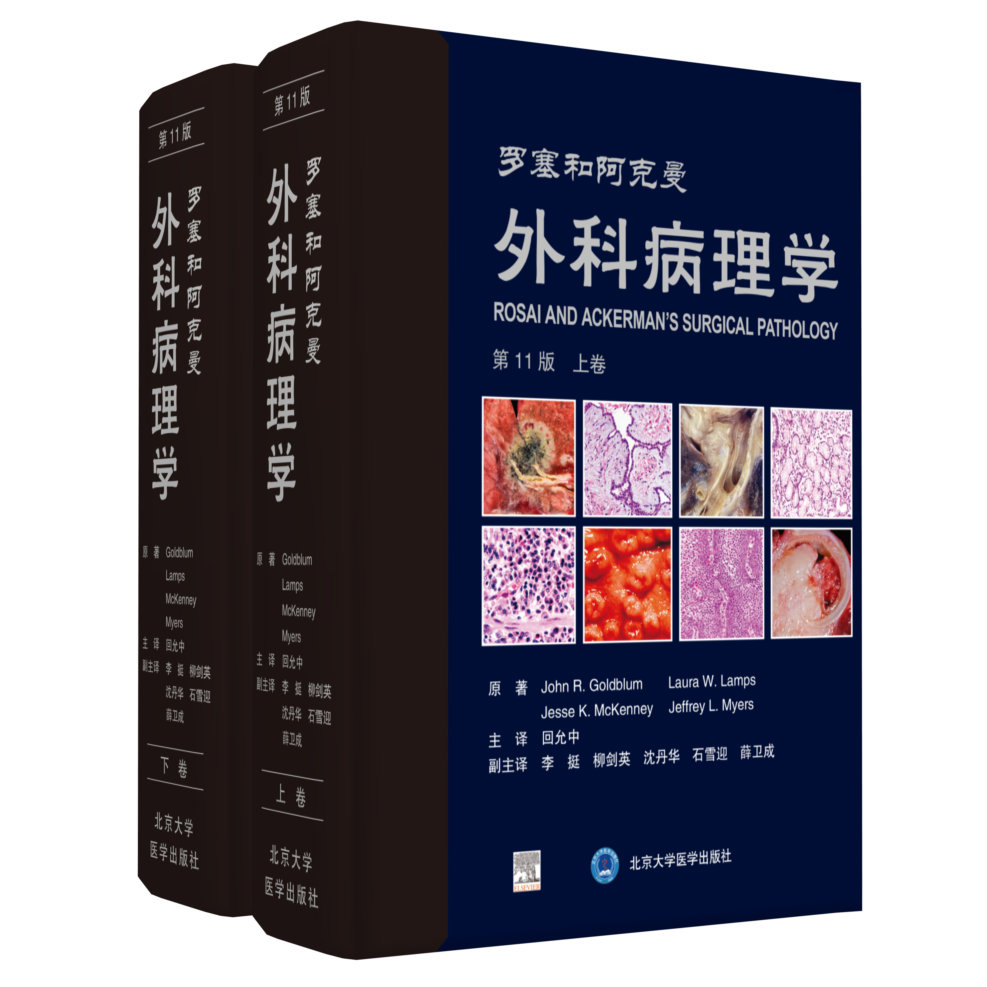 上下册医学北京大学9787565923364主编回允阿克套装十一病理学医学