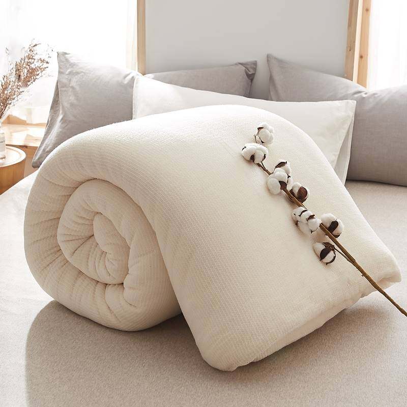 棉被子棉花被芯棉絮垫被褥子床垫被子芯被