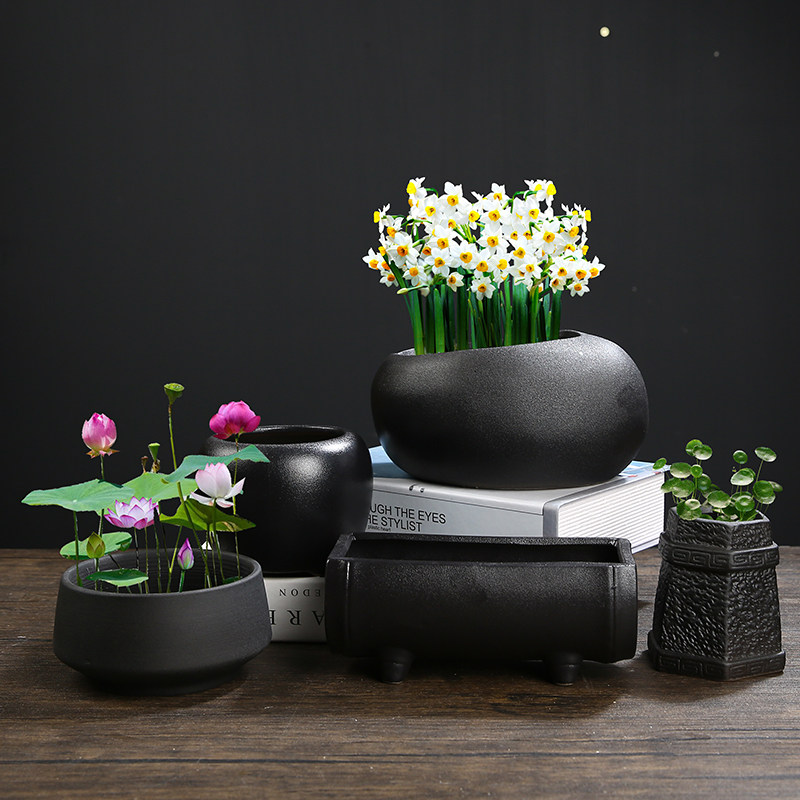 一叶铜钱睡莲盆碗专用容器莲花水培无孔清仓花盆