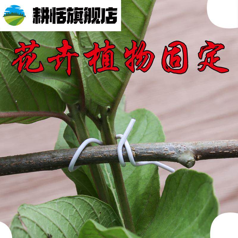 红色包邮结束带子卡扣邦枝机枝蔓80卷蔬果绑枝机其它园艺用品