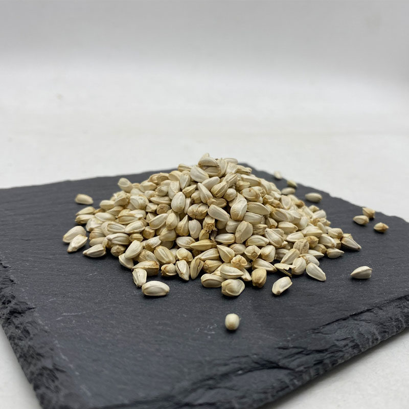 白花子松鼠全国500克鸟粮粮食鸽子鹦鹉金丝熊仓鼠饲料