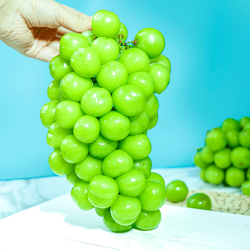 阳光箱包孕妇香印晴王无籽提子邮青整箱玫瑰葡萄