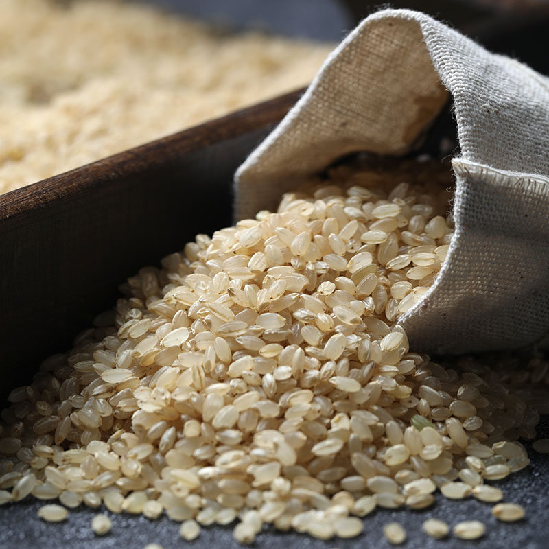 东北糙米新米5斤低糙米饭健身米脂营养粗粮糙米