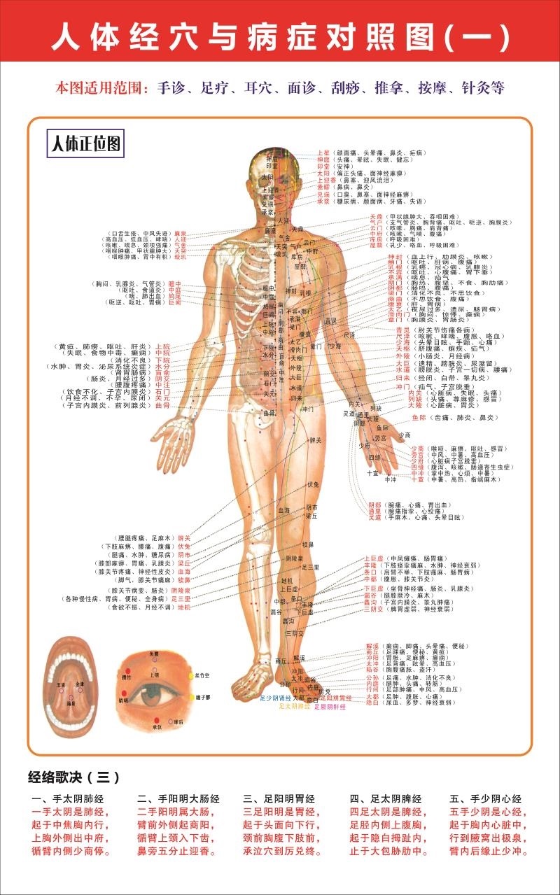 人体对照海报针灸挂画全身病症经络中医挂图写真
