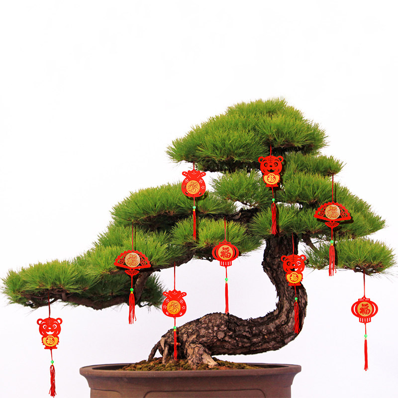 新年迁入发财树红灯笼挂饰盆景年元旦乔迁入挂件福字挂饰