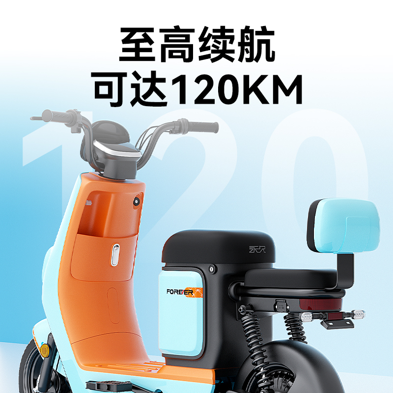 永久新国标电动车成人可上牌电动自行车女士小型锂电池代步电瓶车