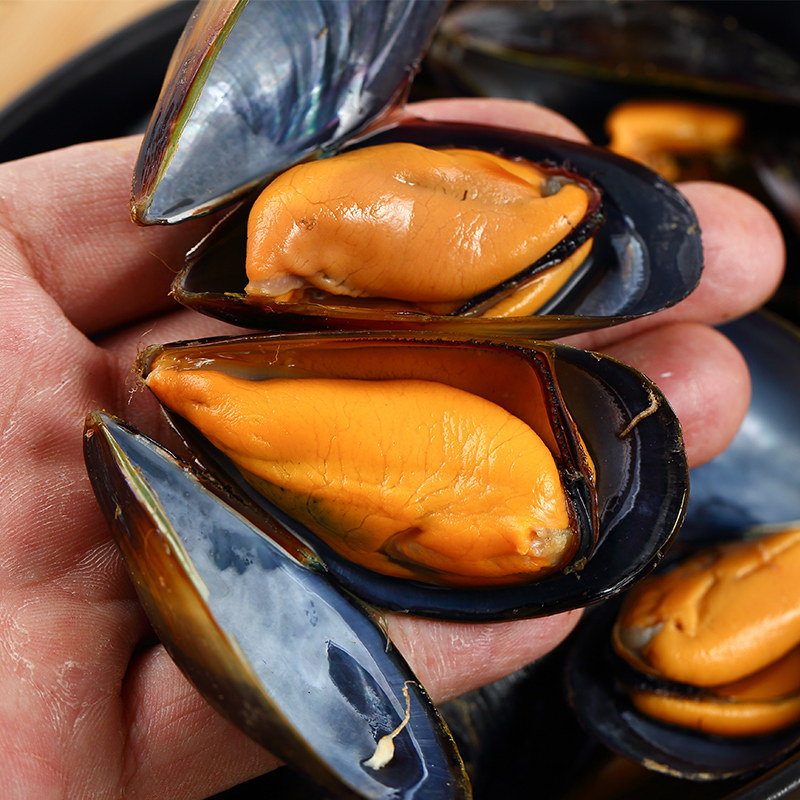 贻贝鲜活海虹青口贝新鲜日照特产海鲜野生净重5斤顺丰包邮现捕