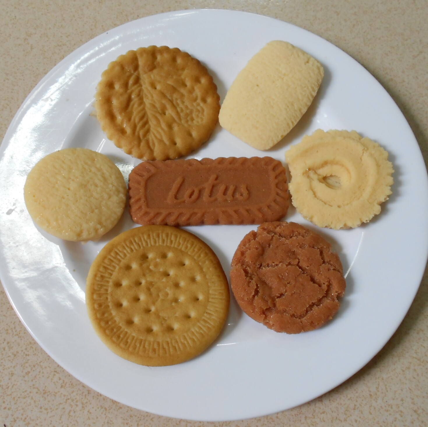 仿真饼干模型 假水果蔬菜面包展示道具 过家家玩具 蛋糕食品模型