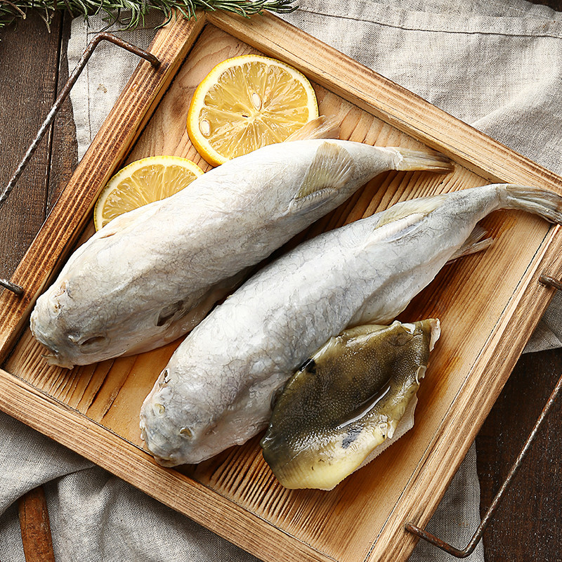 河豚鱼食用已处理靖江鲜活现杀长江淡水养殖速冻冰鲜生鲜非野生鱼