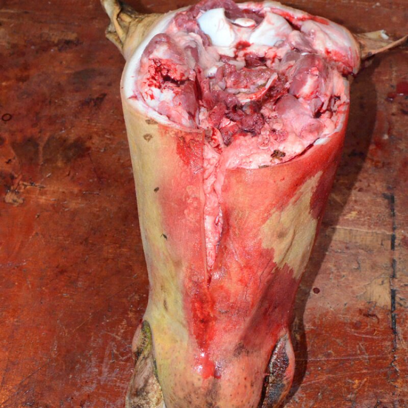 牛头整只生新鲜半整个带皮牛脸肉当天现杀带骨牛头肉牛老壳带舌头_双