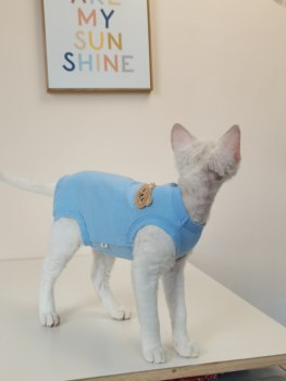 Summer ບາງ vest ເສື້ອ ທີ ເຊີດ ສີ່ legged ຝ້າຍ breathable ສົດ sphinx hairless cat ເຄື່ອງ ນຸ່ງ ຫົ່ມ ເຍຍ ລະ ມັນ
